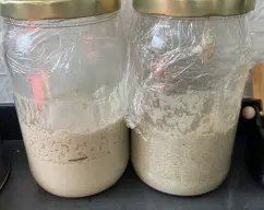 Step <p>Incorporar en el vaso del thermomix</p><p>la harina de espelta, la sal, el azúcar, 200g de agua, el aceite y el Pre fermento</p><p>AMASAR 3 minutos </p><p><br></p> illustration