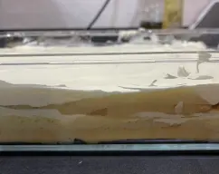 Step <p>Incorpora la piña y triturar 20 seg. /vel. 8. Reservar.</p> illustration