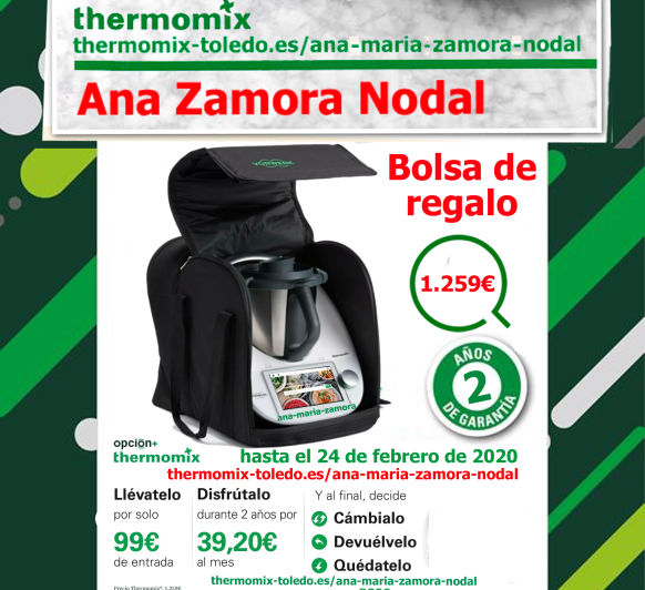 Thermomix TM6 con bolsa de transporte gratis